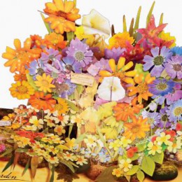 3D立體書(shū)、手工書(shū)